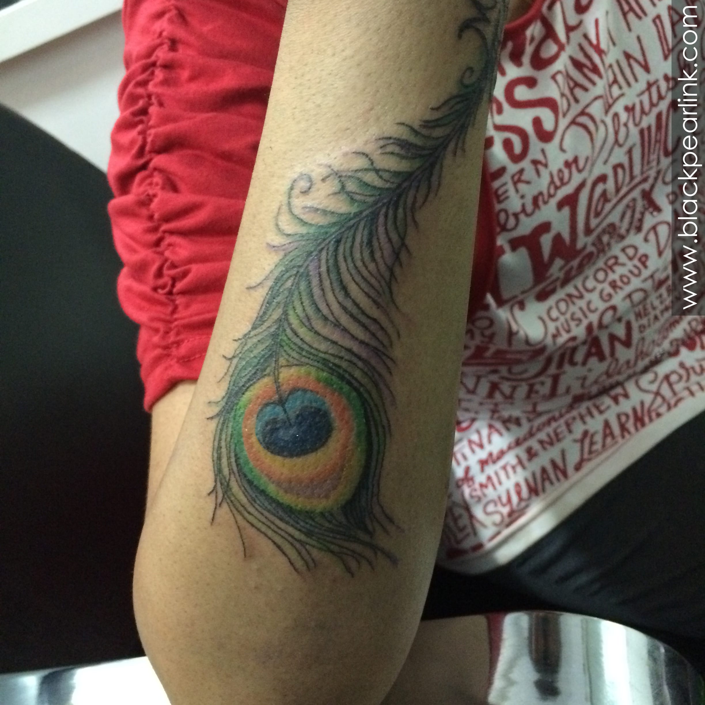 Dreamcatcher mandala peacock feather tattoo | Feather tattoos, Trendy  tattoos, Peacock feather tattoo